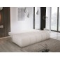 Sofa COCO z funkcja spania i pojemnikiem ANTHOLOGY 01 DOMOHOME
